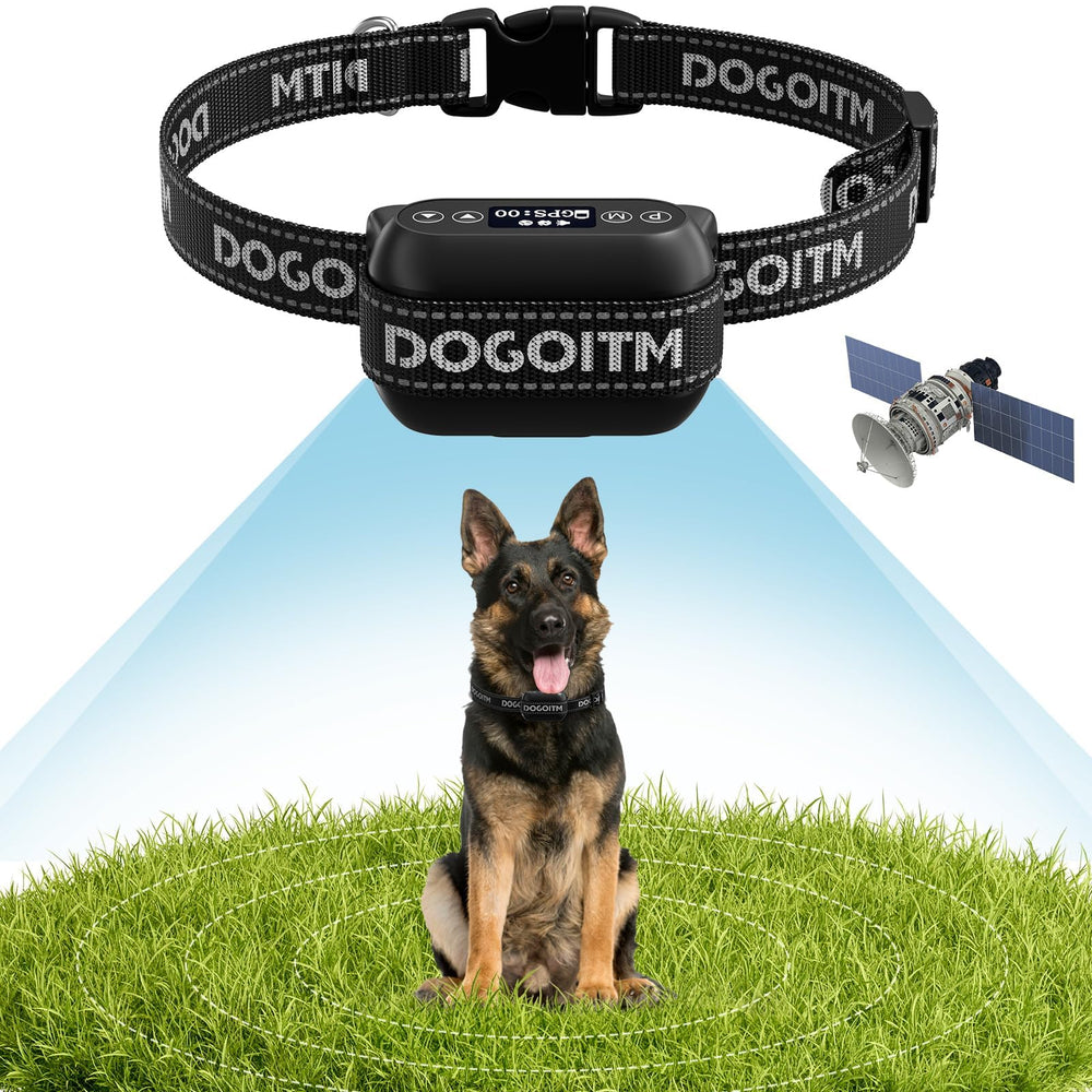 Zona de delimitación precisa con posicionamiento por satélite de DOGOITM.