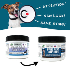 Dogzymes Pancreas Support: cuchara para dosificar y facilitar la administración.