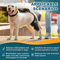 Dollephi neopreno transpirable para perro, rodilla duradera y cómodo.