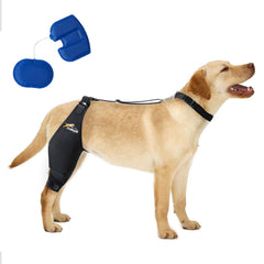 Dollephi rodillera para perro con ACL y doble cámara para mayor estabilidad.