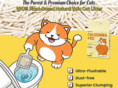 DOOBIT arena para gatos sin polvo para uso diario limpio