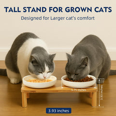 DoogCat cuencos cerámicos para comida y agua, fáciles de limpiar