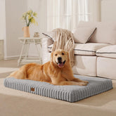 Cama ortopédica DOPEDIO para perro grande, vista frontal, soporte para caderas