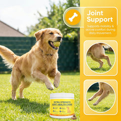 Dotkara perro caminando alegre propone apoyo suave para caminar y jugar.