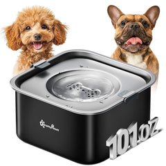 DownyPaws cuenco de agua para perros sin derrames, ideal para suelos limpios y zonas de descanso.