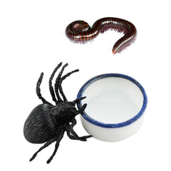 DQITJ cuenco ceramico mini para reptil pequeno, base estable evita vuelcos