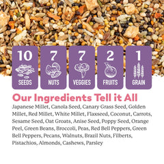 Dr. Harvey's Mezcla semillas nueces frutas: ofrece variedad nutritiva para aves pequeñas.
