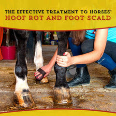 Dr. Naylor Hoof 'N Heal, uso en ganado ovejas para cuidado de pezuñas
