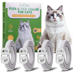 DrFlito collar antipulgas para gatos en uso, protección duradera para pelaje sano.