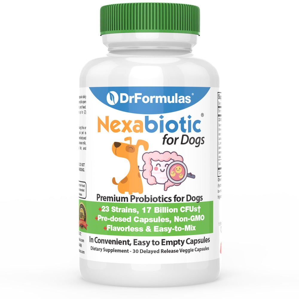 DrFormulas Probiotics para perros, dosis 30, apoyo digestivo diario