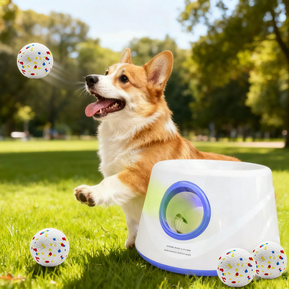 Lanzador DRK INNOTECK en sala de estar lanza pelotas para perros