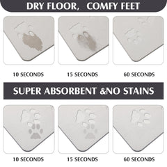 Drydiet piedra diatomita absorbe agua para secado rápido.