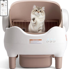 Duabes caja de arena para gatos abierta, acceso cómodo para felinos de todos tamaños.