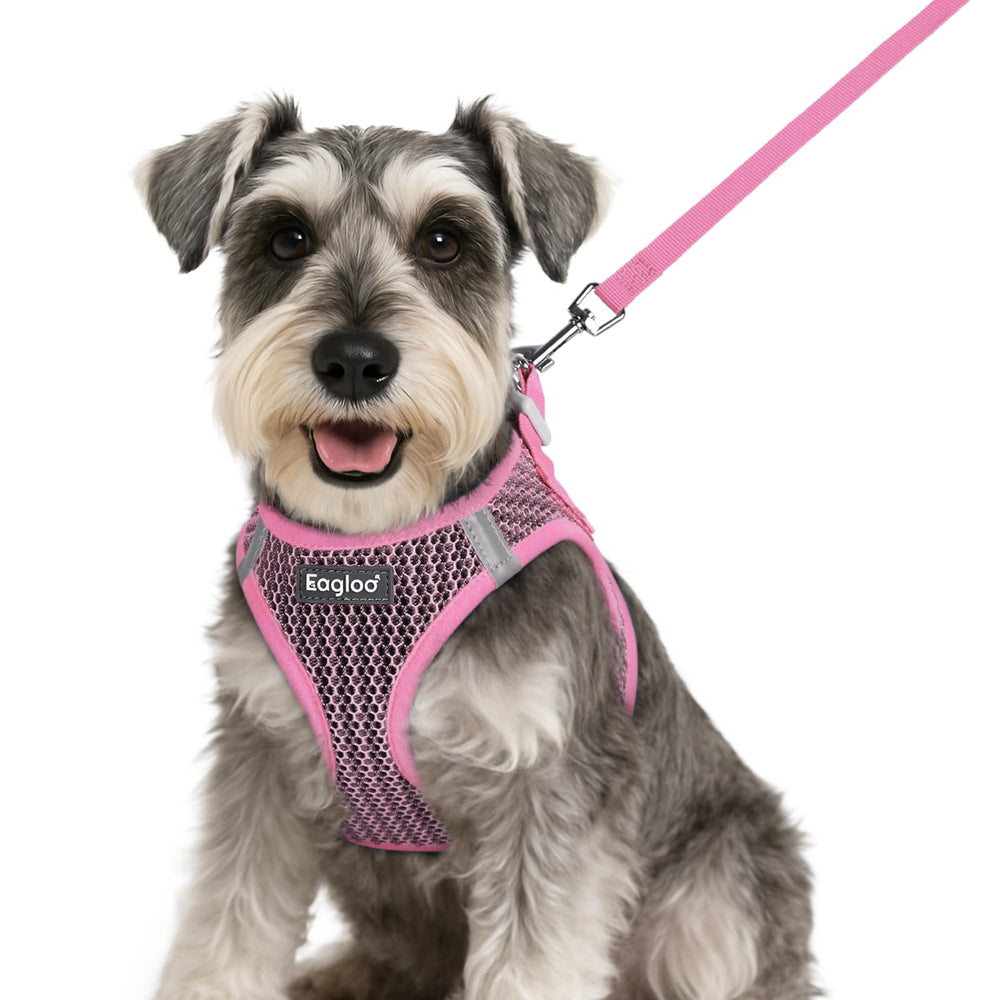 Arnés de pecho ventilado Eagloo para perros pequeños, cómodo y transpirable para paseos diarios.