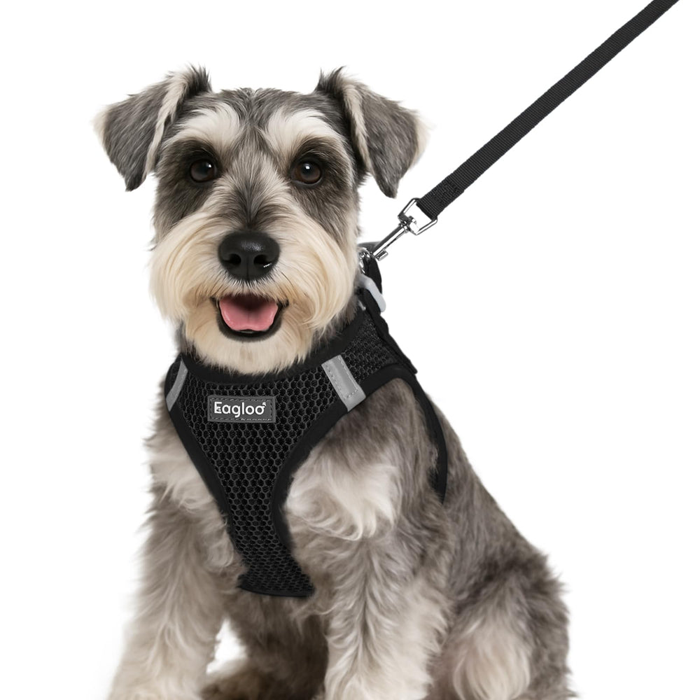 Arnés Eagloo para perro pequeño en malla transpirable, cómodo para paseos.
