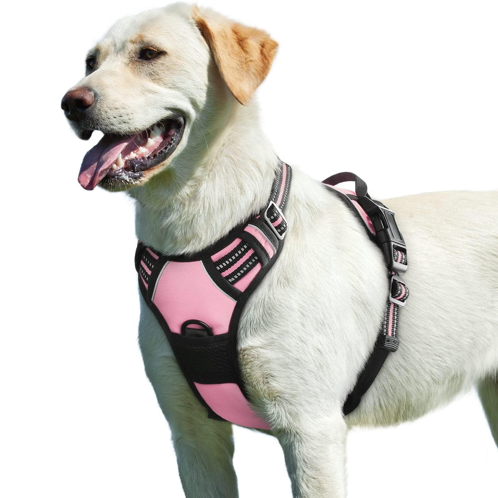 Arnés Eagloo para perros grandes con dos anillos metálicos para mayor control en paseos.