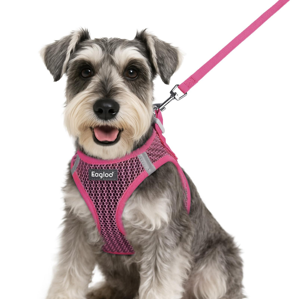 Arnés Eagloo de entrada para perro pequeño en rosa intenso, ajuste cómodo para paseos diarios.