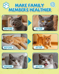 Ingredientes clave L-Lisina y colostro en Eagou Diary para gatos.