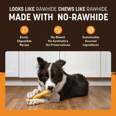 Sesión de masticación tranquila con No Hide Chews de pollo.