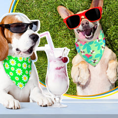Eccliy bandanas de colores vivos para perros, fáciles de combinar