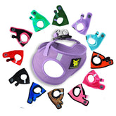 Harnais EcoBark pour petit chien à enfiler, pratique et confortable.
