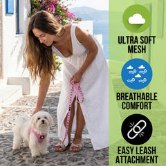 EcoBark arnés canino rosa bebé paso en malla dorsal para paseo seguro.