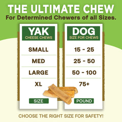 EcoKind Premium Gold Yak Cheese Himalayan, masticable de 6 a 8 pulgadas para sesiones largas