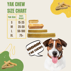EcoKind Yak chews, perro masticando alegremente con seguridad.