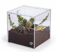 EctoTherm tarántula terrario acrílico, vista clara para observar movimientos.