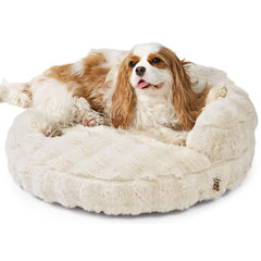 Sofá cama suave para gatos de EHEYCIGA, felpa cálida para siestas cómodas.