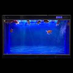 ELEBOX fondo acuario doble caras, azul oscuro, contrasta con peces brillantes
