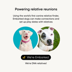 Embark buscador-relativos-interfaz: conecta con familiares cercanos de tu perro