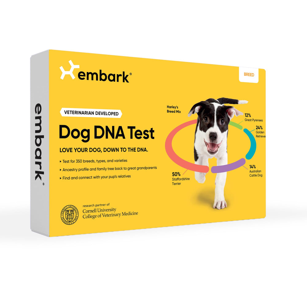Embark kit-identificacion-raza-frente: vista frontal para empezar con la mezcla de razas