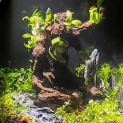emours madera natural para acuario, ornamento único de aspecto realista.