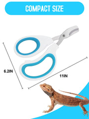 Recorte rápido con tijeras de uñas para dragón barbudo Engorgio.