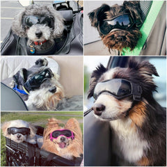 Gafas Enjoying para perro pequeño con anti-niebla, ideal para salidas sin empañamiento.