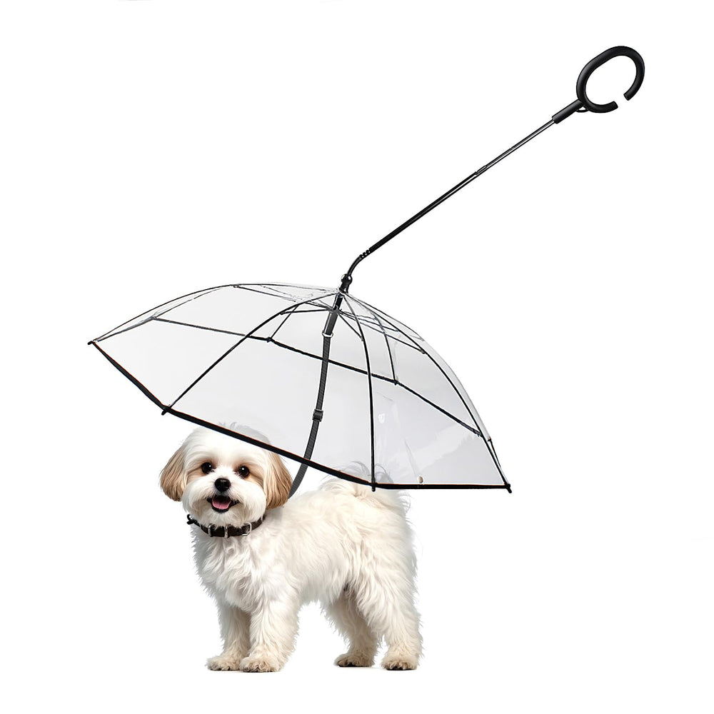 Enjoying paraguas para perro pequeño transparente, protege durante paseos en lluvia.