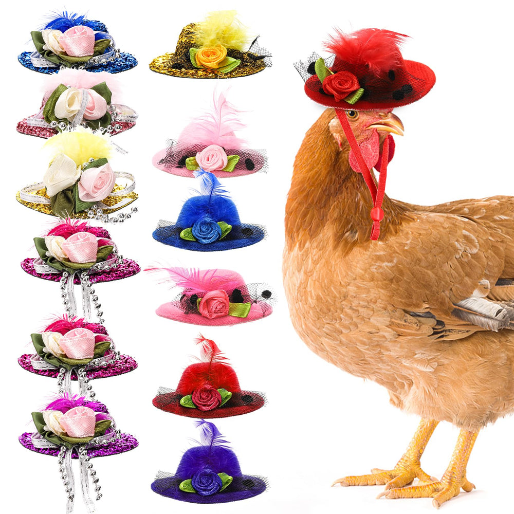 Eorbow sombreritos para gallinas con 12 packs en colores vivos