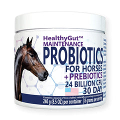 Equa Holistics HealthyGut: conjunto para potros con probióticos para apoyo digestivo