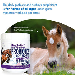 Equa Holistics HealthyGut, caballo comiendo su alimento con suplemento