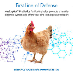 HealthGut Probiotics espolvoreado sobre alimento para pollos