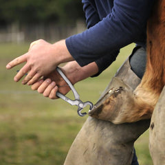 Equine Care acero cromo-vanadio forjado ofrece durabilidad y rendimiento.