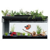 ERAARK tanque Betta 3.7 galones con vista frontal y acabado despejado para acuario