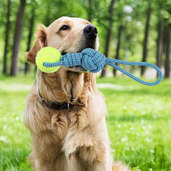 Pelota integrada en el juguete Erhalithegro para juego continuo.