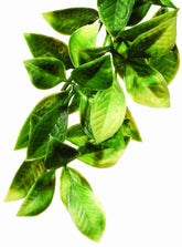 Exo Terra planta plástica pequeña mandarina, refugio realista para reptiles.