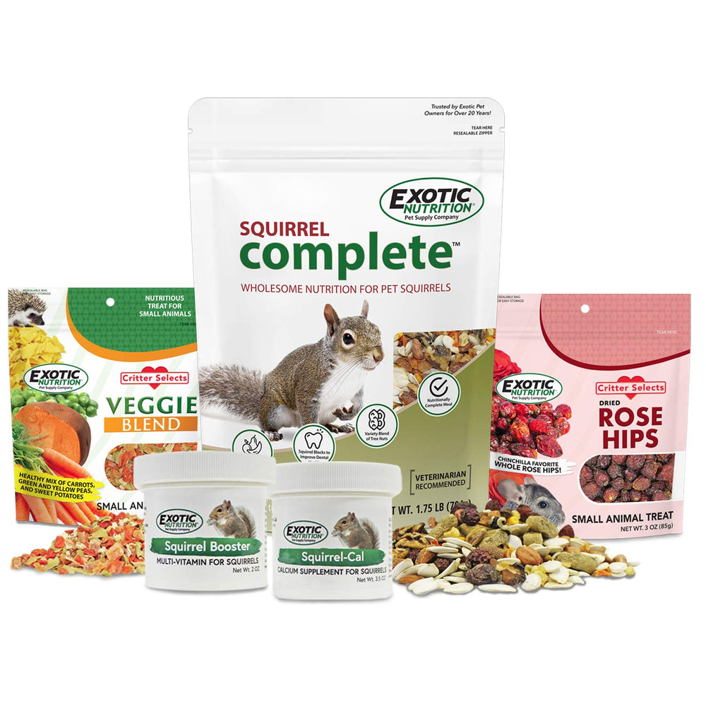 Exotic Nutrition paquete inicial de alimento para ardillas, dieta nutricional completa