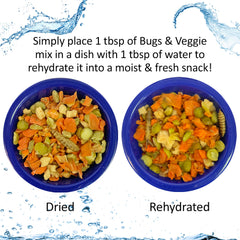 Hedgie Bugs y Veggie Treat de Exotic Nutrition favorece el ejercicio dental del erizo