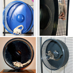 Rueda azul de Exotic Nutrition con soporte para uso seguro y entretenimiento diario