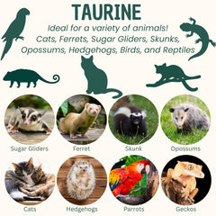 Exotic Nutrition Taurina Polvo uso diario para perros, apoyando digestión y energía.