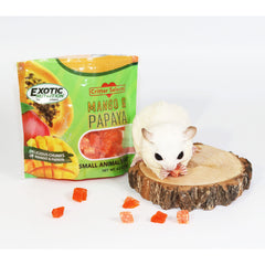 Exotic Nutrition cubos secos de mango y papaya, listos para masticar y premiar roedores.